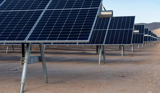 ドイツ、ポーランドでは、太陽光発電と貯蔵のコロケーション プロジェクトが増加しています。